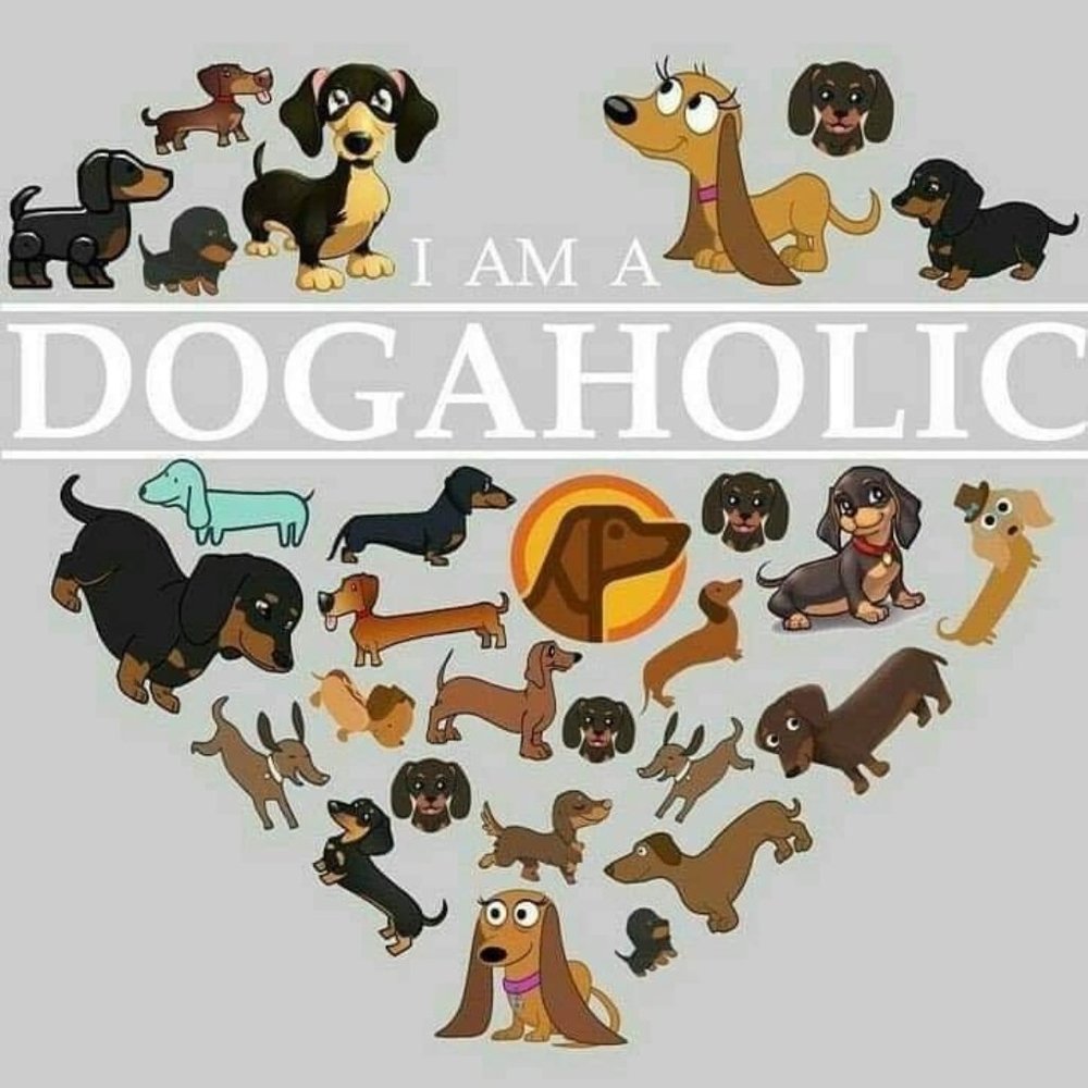 Meet your Posher, Jeri